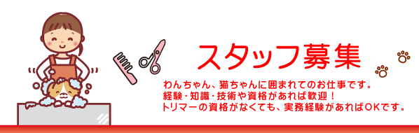�uenjoydog�v�ł́A�g���}�[���W���B�����o��������Ύ��i���Ȃ��Ă�OK�ł��B