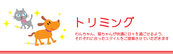 トリミング わんちゃんが快適に過ごせるよう、一頭一頭に合ったスタイルをご提案させていただきます